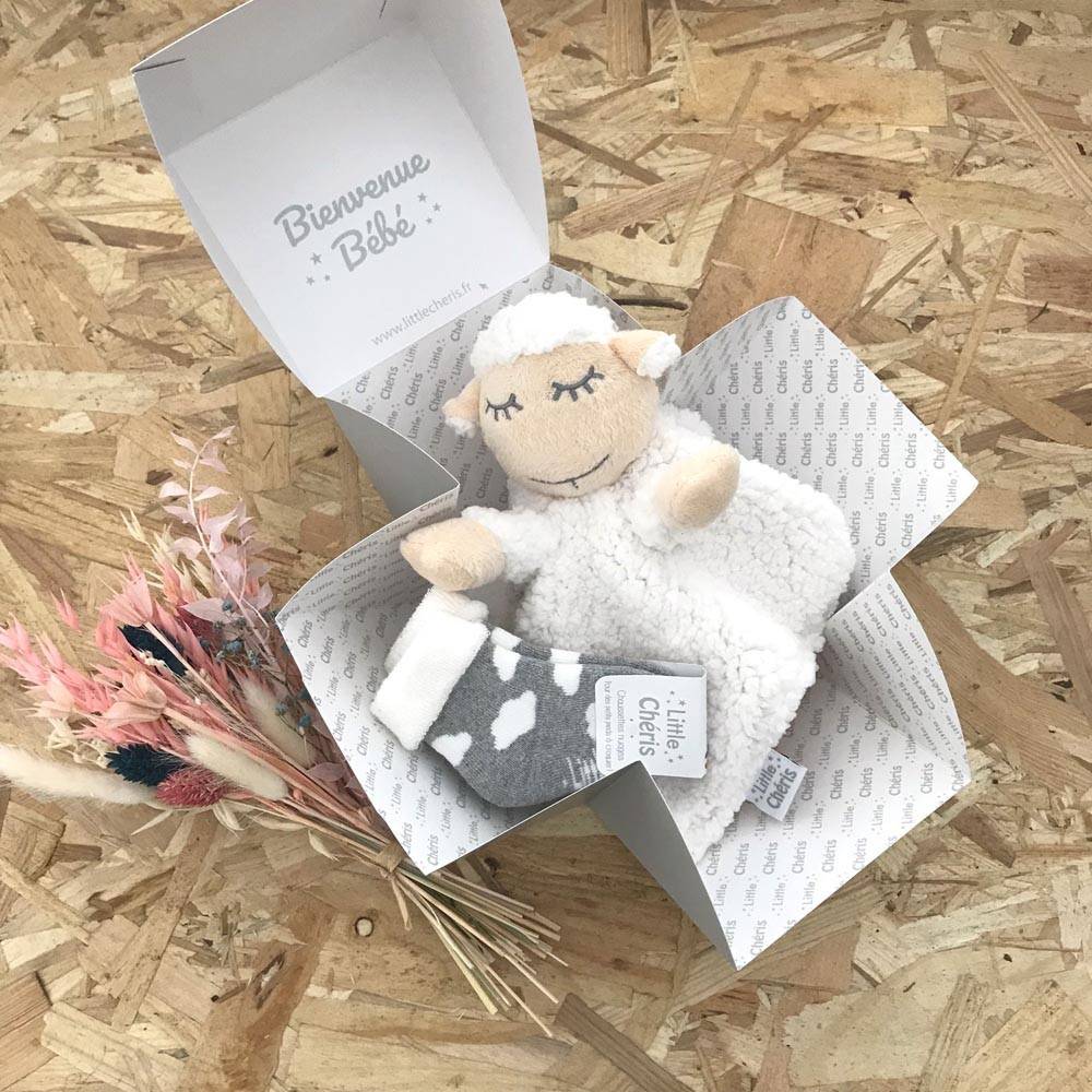 Coffret cadeau naissance bébé, mixte, doudou et boîtes , bébé fille et  garçon, mixte